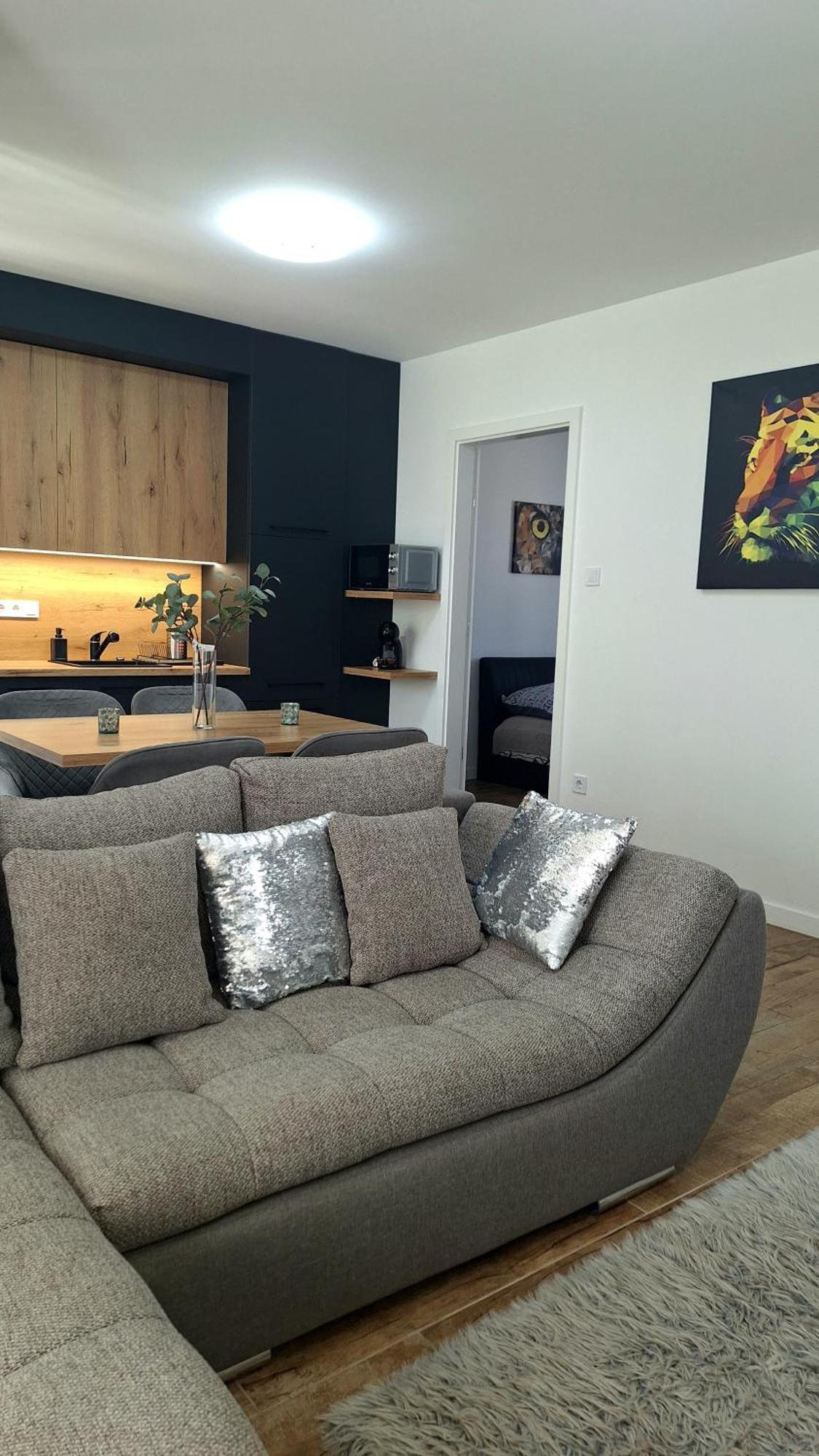 Starlight Silver - Exclusive Apartment Szeged